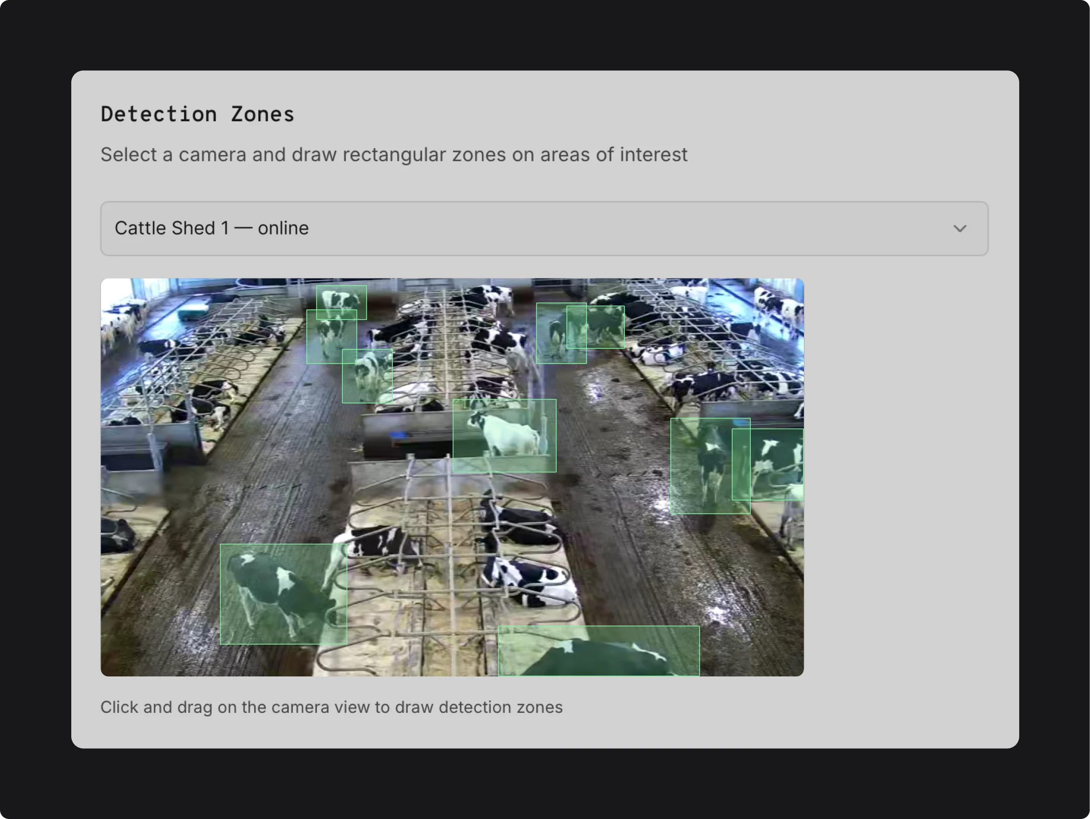 AI Livestock Activity Tracking